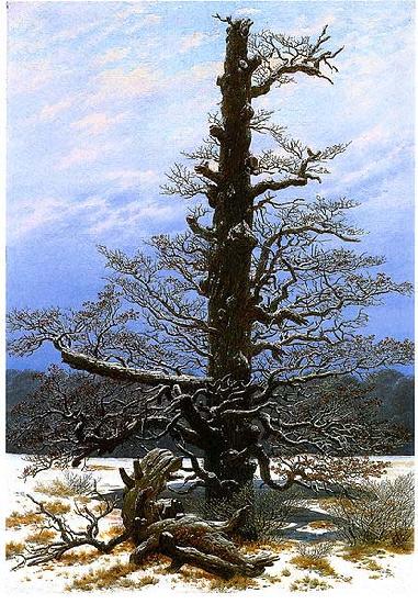 Caspar David Friedrich Oak Tree in the Snow Germany oil painting art